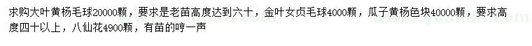 求購(gòu)大葉黃楊毛球、金葉女貞毛球、瓜子黃楊毛球等