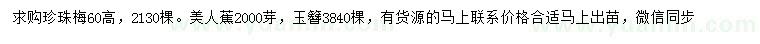 求購珍珠梅、美人蕉、玉簪
