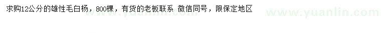 求購12公分毛白楊