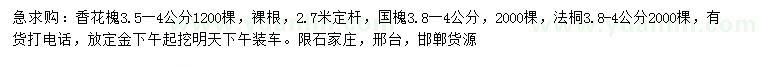 求購香花槐、國槐、法桐