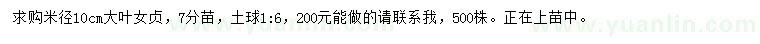 求購(gòu)米徑10大葉女貞