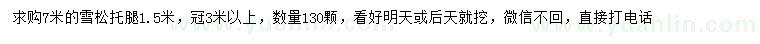 求購7米雪松