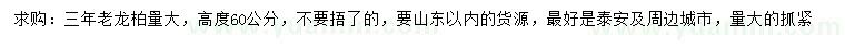 求購高60公分老龍柏