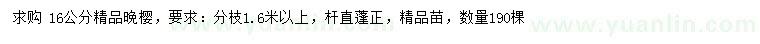 求購16公分精品晚櫻