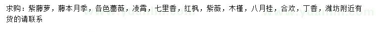 求購紫藤蘿、藤本月季、薔薇等