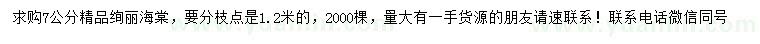 求購(gòu)7公分精品絢麗海棠