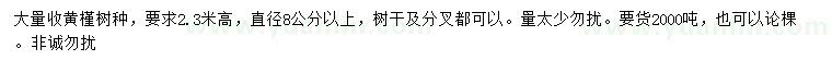 求購(gòu)直徑8公分以上黃槿