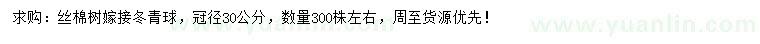 求購冠徑30公分絲棉樹嫁接冬青球