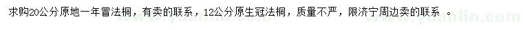 求購12、20公分法桐