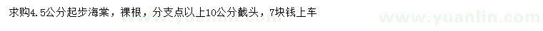 求購(gòu)4.5公分起步海棠