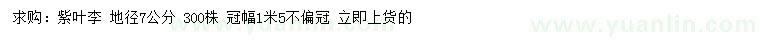 求購地徑7公分紫葉李