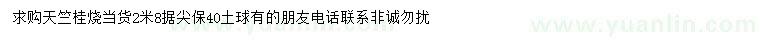 求購2.8米天竺桂