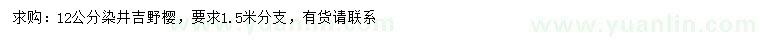 求購12公分染井吉野櫻