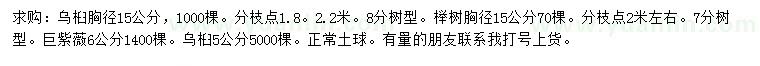 求購(gòu)烏桕、櫸樹、巨紫薇