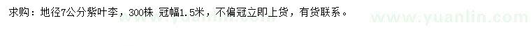 求購(gòu)地徑7公分紫葉李