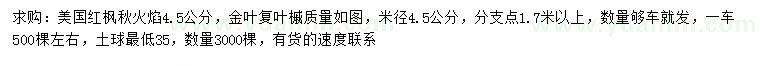 求購(gòu)米徑4.5公分美國(guó)紅楓秋火焰、金葉復(fù)葉槭