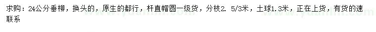 求購24公分垂柳
