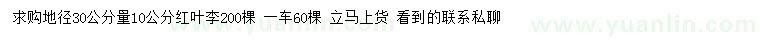 求購地徑30公分量10公分紅葉李