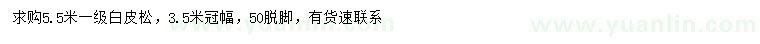 求購5.5米白皮松