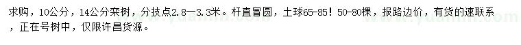 求購10、14公分欒樹