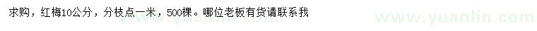 求購(gòu)10公分紅梅