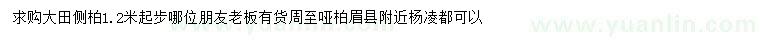 求購(gòu)1.2米起步側(cè)柏