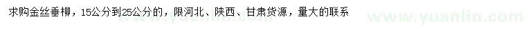 求購15-25公分金絲垂柳