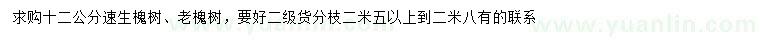 求購12公分速生槐樹、老槐樹