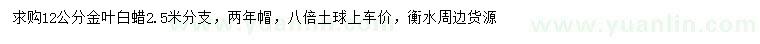 求購12公分金葉白蠟