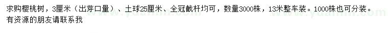求購3公分櫻桃樹