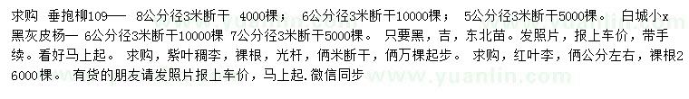 求購垂暴柳109、黑灰皮楊、紫葉稠李等