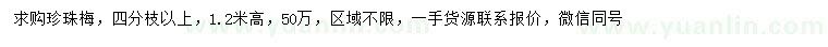求購高1.2米珍珠梅