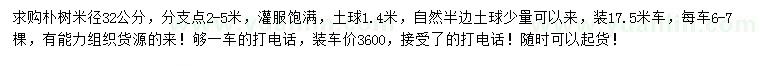 求購米徑32公分樸樹