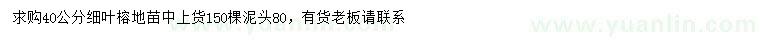 求購40公分細(xì)葉榕地苗