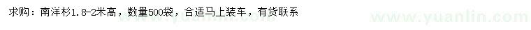 求購高1.8-2米南洋杉