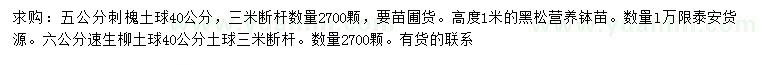 求購刺槐、黑松、速生柳