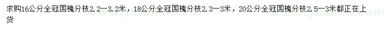 求購16、18、20公分國槐
