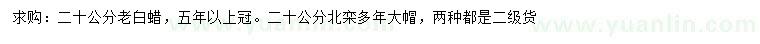 求購20公分老白蠟