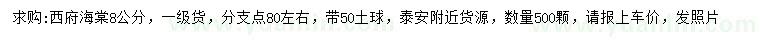 求購8公分西府海棠