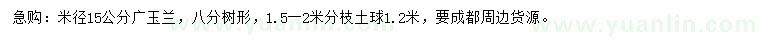 求購米徑15公分廣玉蘭