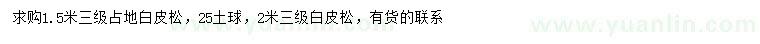 求購1.5、2米占地白皮松