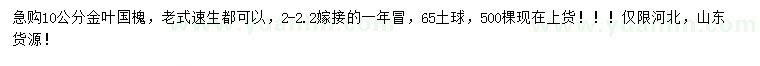 求購10公分金葉槐