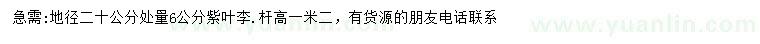 求購地徑20公分量6公分紫葉李