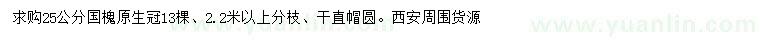 求購25公分國槐