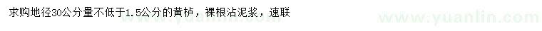 求購地徑30公分量1.5公分以上黃櫨