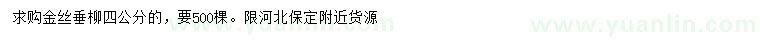 求購4公分金絲垂柳