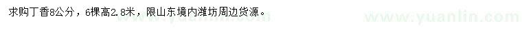求購8公分丁香