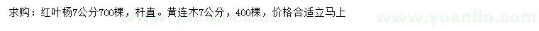 求購(gòu)7公分紅葉楊、黃連木