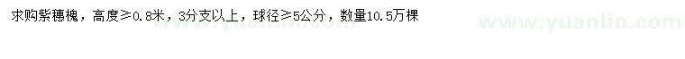 求購高0.8米以上紫穗槐