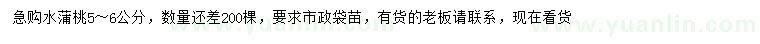 求購(gòu)5-6公分水蒲桃